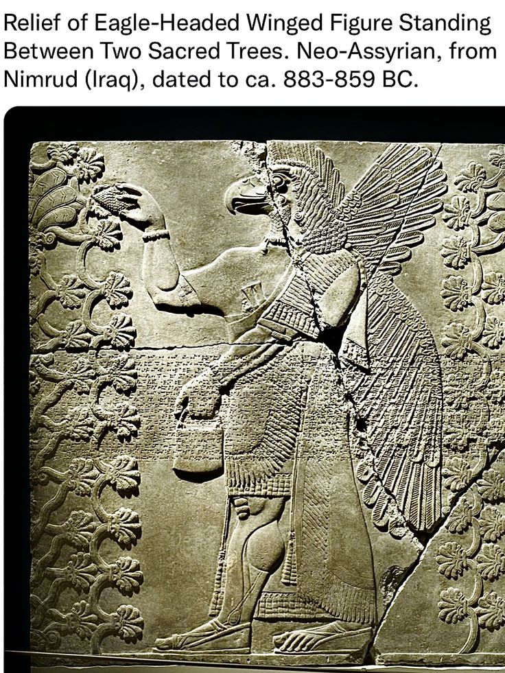 Die Rückkehr der Unsterblichkeit: Das geheime Schaltbild der Anunnaki&nbsp;entschlüsselt