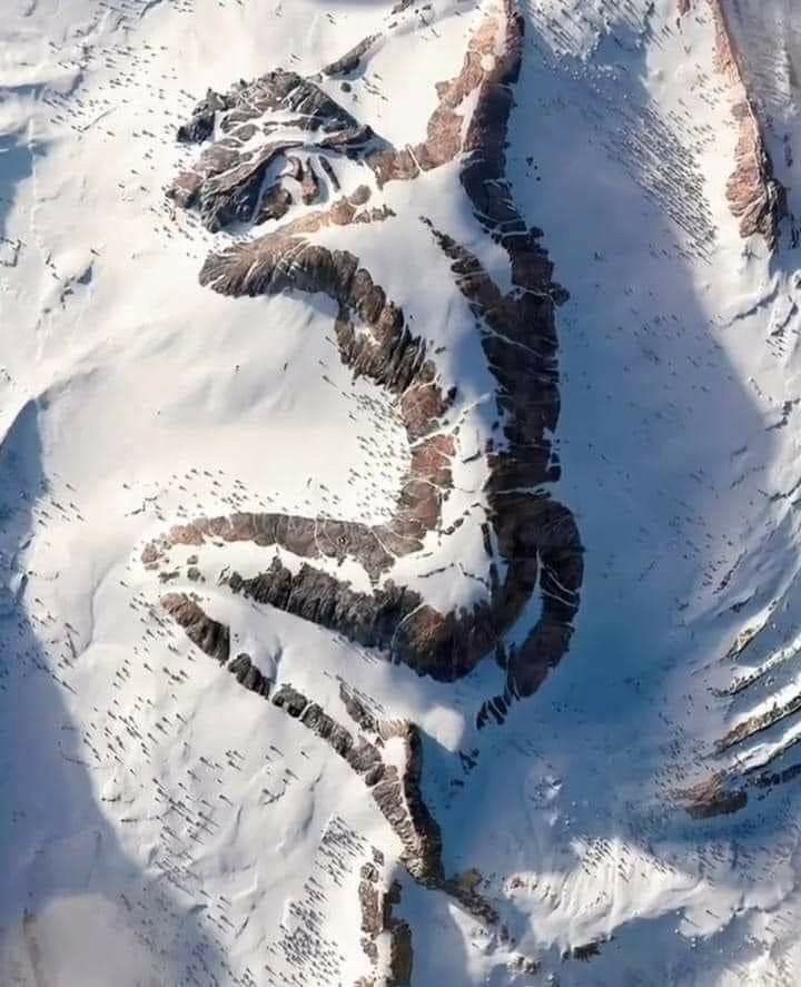 DAS ERWACHEN DER&nbsp;GIGANTEN